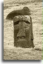 Collection of Moai #6::Easter Island::
