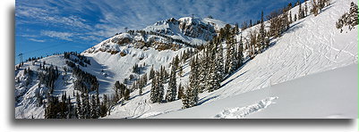 Rendezvous Mountain::Jackson Hole, Wyoming, USA::